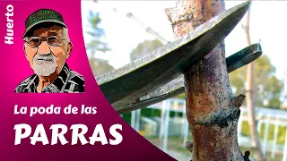 𝗣𝗔𝗥𝗥𝗔𝗦: como PODAR las PARRAS en OTOÑO e INVIERNO