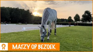 Eerste week op de nieuwe stal! | PaardenpraatTV