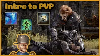 ESO PVP Introduction Guide // Skill Setups (Elder Scrolls Online 2023)