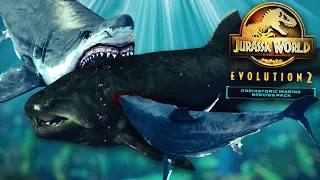 MEGALODON with DUNKLEOSTEUS In NEW UPDATE!!? - Jurassic World Evolution 2 Prehistoric Marine Species