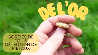 😍DE L'OR ✨!!! Détection de métaux (bijoux, Piece, broche ,militaire ,ext..)