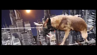 Doggo Impossible - Mission Impossible Dog Version