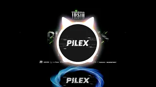 Tiesto   The Business (Pilex Remix) Extended Mix