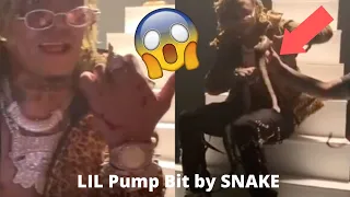 Lil Pump BIT by snake! (INSANE)