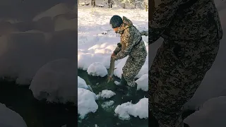 Собираем рыбу в ручье. Замор рыбы