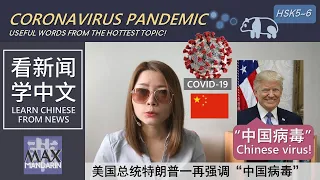 Coronavirus Pandemic | Learn Chinese from News 看新闻学中文：新冠病毒全球大流行 #hsk6