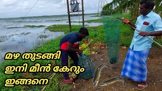 മഴ വന്നു വിളിച്ചാല്‍ മീന്‍ വന്നു കേറും കൂട്ടില്‍ | വരാല്‍,കാരി;ചേറാന്‍|Earth Lovers Media