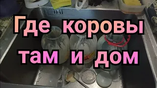 Почему мы не строим коровник?