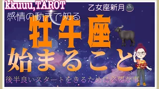 牡牛座♉さん【乙女座新月🌚メッセージ〜新しく始まる事と後半良いスタートをきるために】深いメッセージを受け取る💌 #直感リーディング #タロット占い #2023