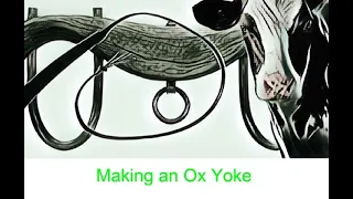 Basic steps to making an ox yoke