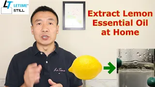 How to make Lemon Essential Oil at Home, Essential Oil Distillation Benefits Composition and Tips