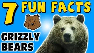 7 FUN FACTS ABOUT GRIZZLY BEARS! BEAR FACTS FOR KIDS! Claws! Fur! Learning Colors! Funny Sock Puppet