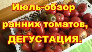 Супер- ранние томаты, обзор и дегустация .