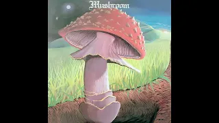 Mushroom - Freedom You're A Woman | 1978 | United States | Blues Rock