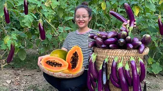 FULL VDEO: 60 Days of harvesting red dragon fruit, bananas & papaya to sell at the market