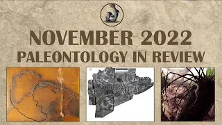 November 2022- Paleontology in Review