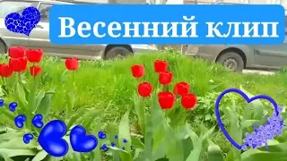 Для тех, кто любит весну😊 Клип на песню "В городе весна" Лавики (Любы Юнак), созданный с моими видео