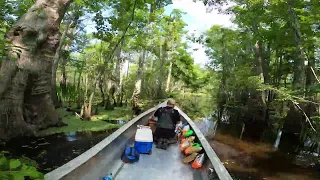 Gator Tail XD Pro in Manchac Swamp