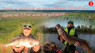 Охота и рыбалка на реке Лозьва, 80-ый км./Щука на 7,5 кг или 58 котлет/часть 3/01-07.09.2023