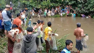 FISHING NET VIDEO - AMAZING TRADITIONAL CAST NET FISHING VILLAGE IN THE RIVER