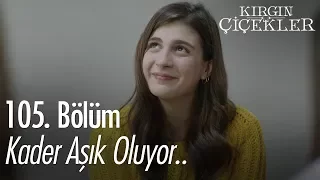 Kader aşık oluyor.. - Kırgın Çiçekler 105. Bölüm