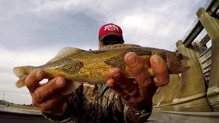 Sauger Fishing - Catching Sauger and Bass At Guntersville Dam