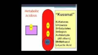 Learn Acid Base: Understanding Acidosis and Hyperkalemia