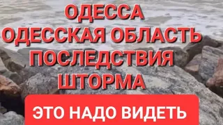 Одесса .Одесская область.Последствия циклона .Цены на ёлки .Это надо видеть 💥