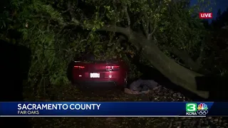 Large oak tree smashes into cars in Fair Oaks