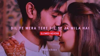 Dil ye mera tere dil se ja mila h - Mere Hamsafar | Slowed Reverb | MusicBass 🎵#merehamsafar #slowed