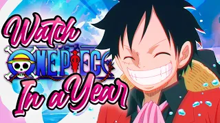 How to Watch One Piece and Skip Fillers in LESS THAN A YEAR!