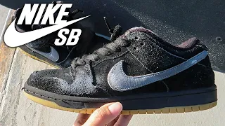 NIKE SB DUNK LOW SKATED REVIEW!