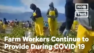 Farm Workers Risk Everything During COVID-19 While Providing Food For Americans | NowThis