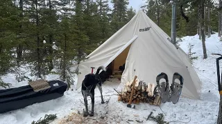 2 Nights Winter Camping in a Cozy Hot Tent with my dogs | Ice Fishing for Brook Trout!