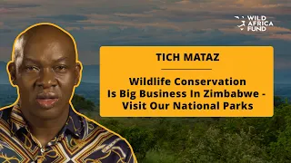 Tich Mataz | Why you should visit Zimbabwe! 🇿🇼