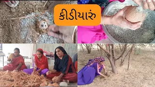 વડીલો પાસેથી શીખેલ અખંડ કીડિયારું, શ્રીફળ,કીડિયારું સાતભાત નું ભોજન, કીડીઓનું