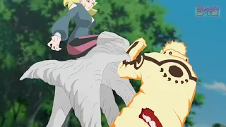 NARUTO VS DELTA  BORUTO NARUTO NEXT GENERATIONS