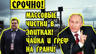 Срочно!!! МАССОВЫЕ Чистки в Кремле НАЧАЛИСЬ!! Чайке и Грефу КРЫШКА! Путин, Мишустин, Власть,ЦБ