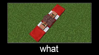 Minecraft wait what meme part 64 (double villager)