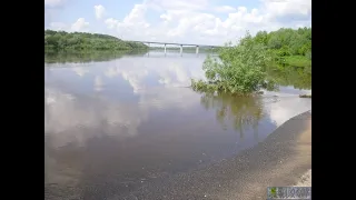 Река Ока после дождей. Дубль 2