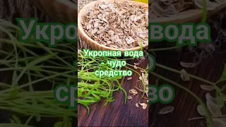 Укропная вода польза для здоровья #здоровье #здоровыйобразжизни #shorts #short #video