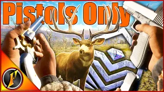 Handguns ONLY on Parque! | Giant Diamond Mulie with .243 Pistol!
