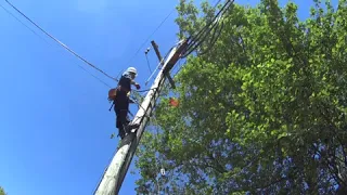 Old Lineman climbing pole on hooks the old fashioned way