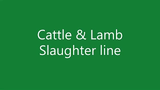 Cattle & Lamb Slaughter Line (Complete abattoir)