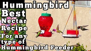 EASY How to Make Hummingbird Food Nectar for Feeder FAST/BEST Recipe for Hummingbirds We Feed 1000’s