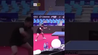 Best backhand drive practice by Fan Zhendong