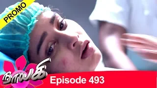 Naayagi Promo for Episode 493