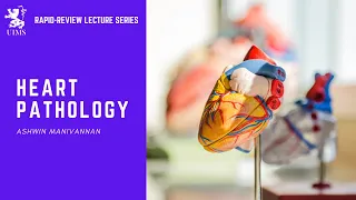 Heart Pathology - Ashwin Manivannan