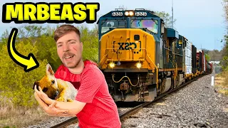 7 YouTubers Who SAVED ANIMALS LIVES! (MrBeast, SSSniperWolf, Aphmau, DanTDM)