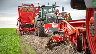 GRIMME WH 200 & EVO 280 | 2+2= 4 rows | Potato Harvest